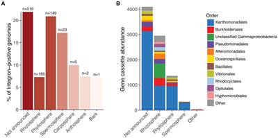 Horizontal gene transfer in plant microbiomes: integrons as hotspots for cross-species gene exchange